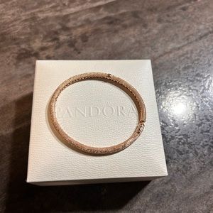 Pandora Rose Matte Brilliance Bangle